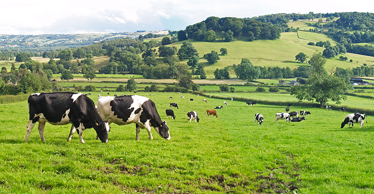 Food companies urged to bring ‘joy’ and urgency to healthy food mission