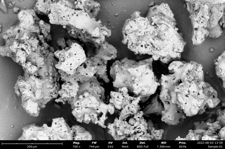 Protein Powders with Improved Solubility