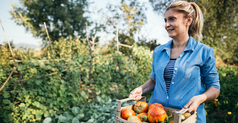 What crops will thrive in the UK by 2080?