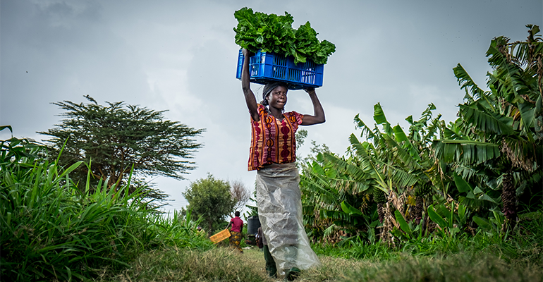 EU Omnibus proposal risks dismantling ESG protections for smallholder farmers