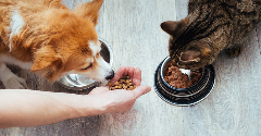 What are the latest global pet food trends?