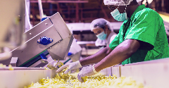 UNIDO highlights food system transformation as a driver of industrial growth
