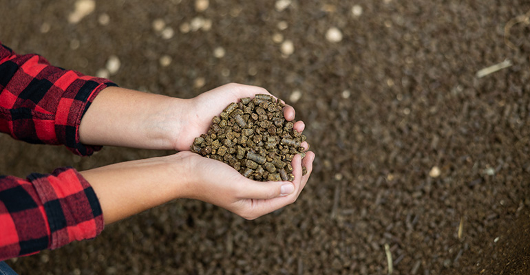 EU approves fermented rapeseed cake as a novel food ingredient