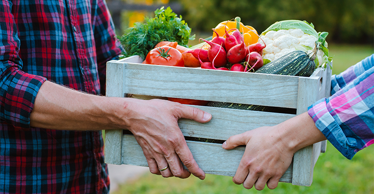 Could UK-EU agreement turn the tide for agri-food trade?