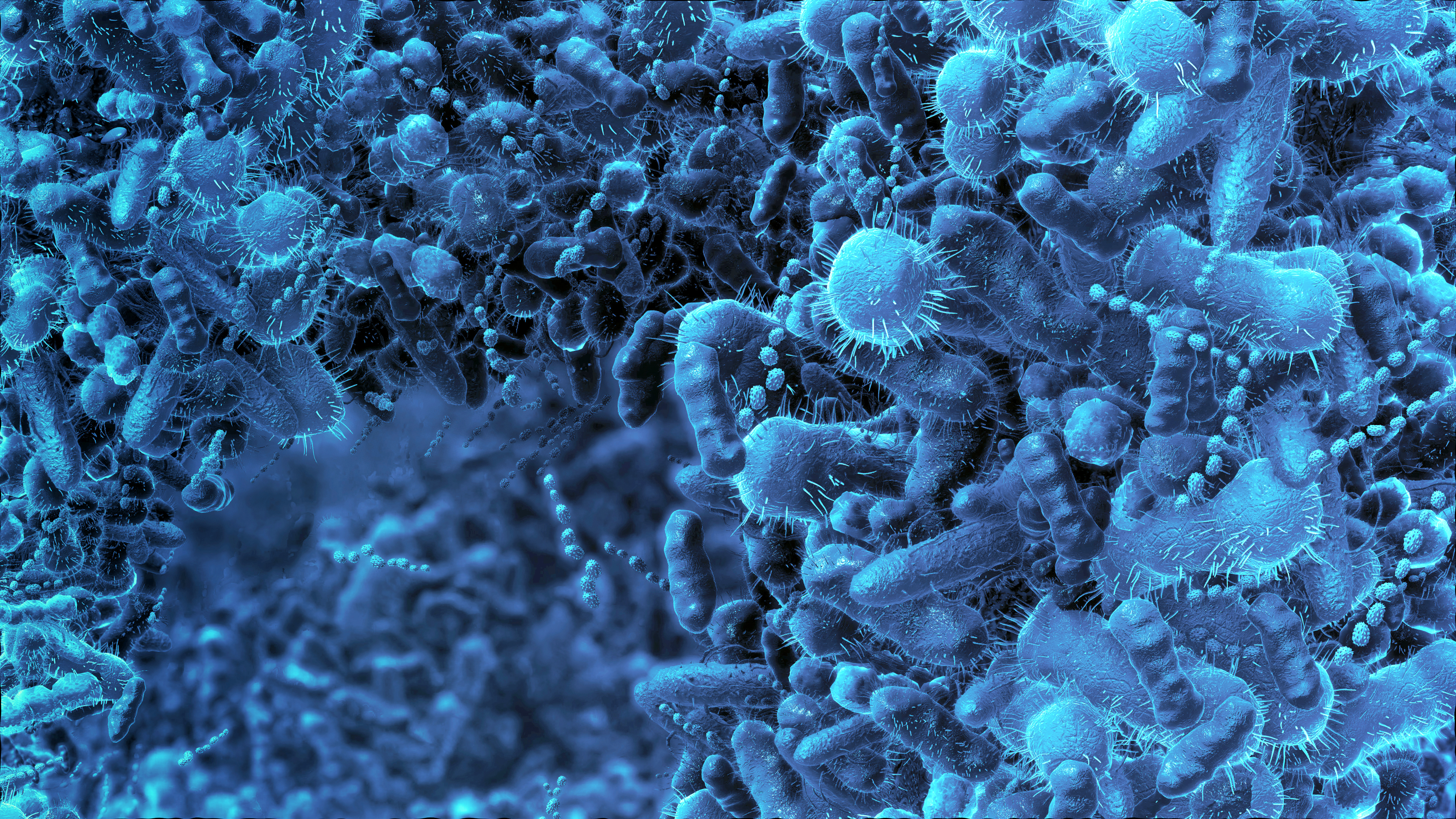 New fucoidan study: Gut health benefits