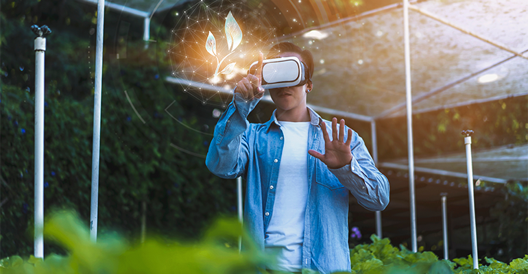 Accelerating AI to answer the food sector’s biggest questions