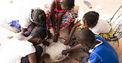 UK university launches global food insecurity lab