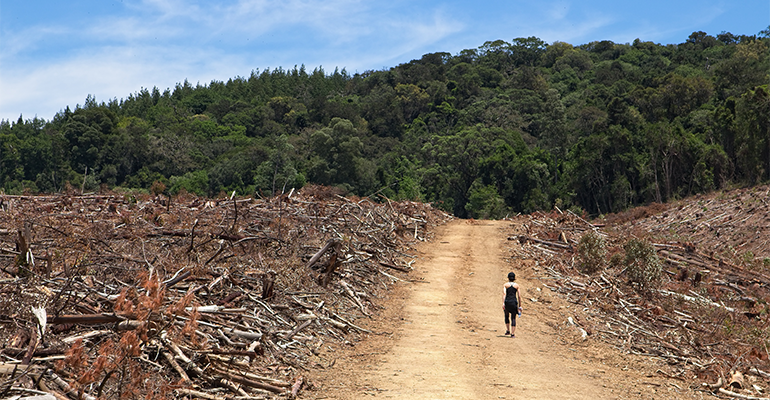 Mondelēz International wants a delay to EU deforestation law