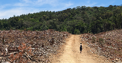 Mondelēz International wants a delay to EU deforestation law