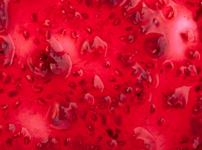 Jungbunzlauer Launches New TayaGel® LA