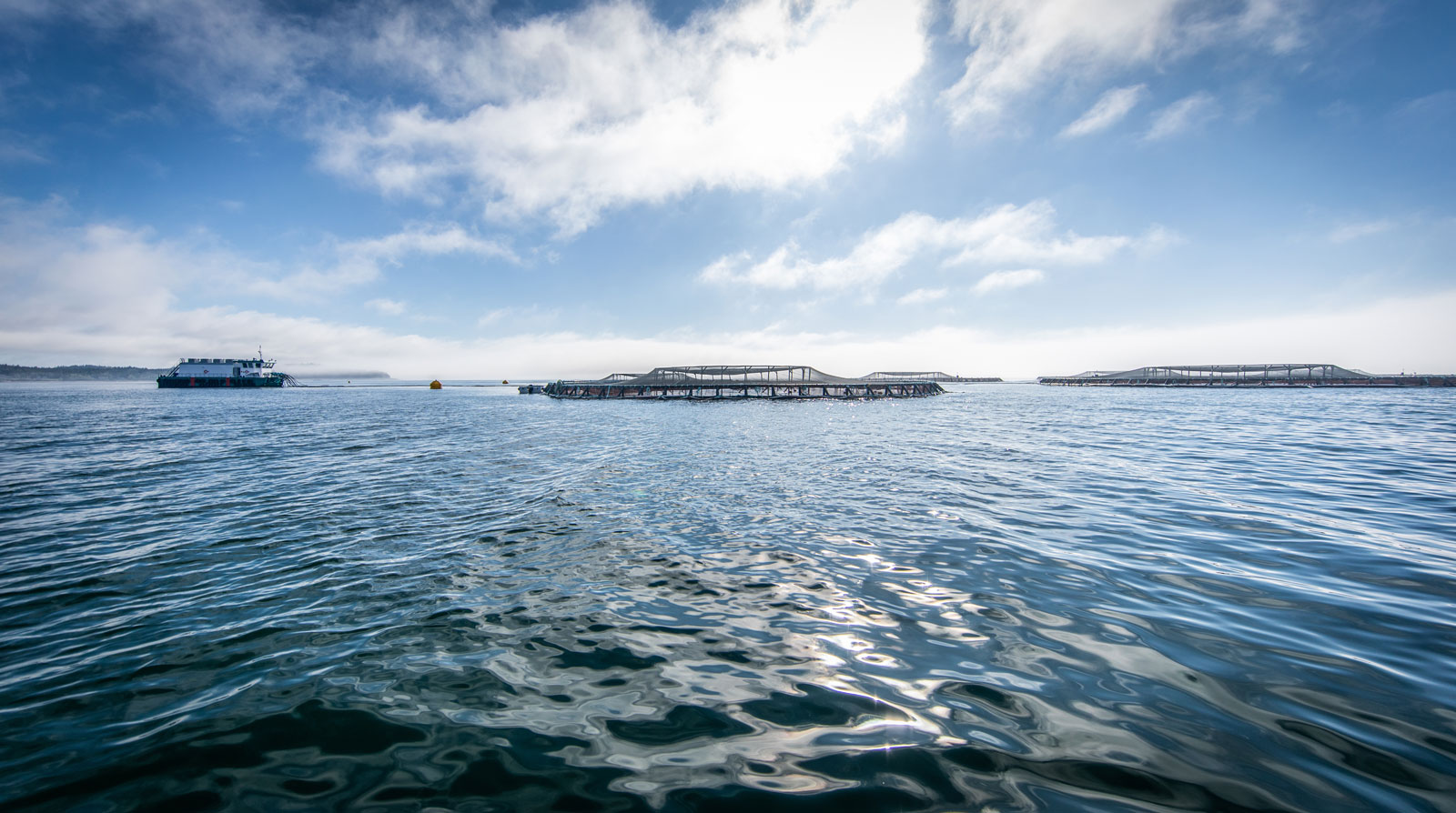 Bioriginal & POS Launch Sustainable Omega-3 Line