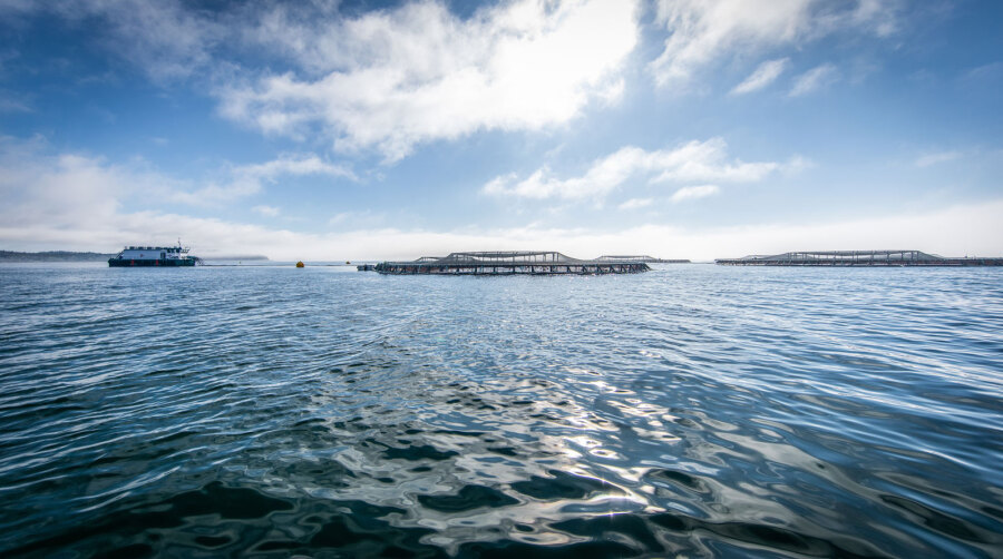 Bioriginal & POS Launch Sustainable Omega-3 Line