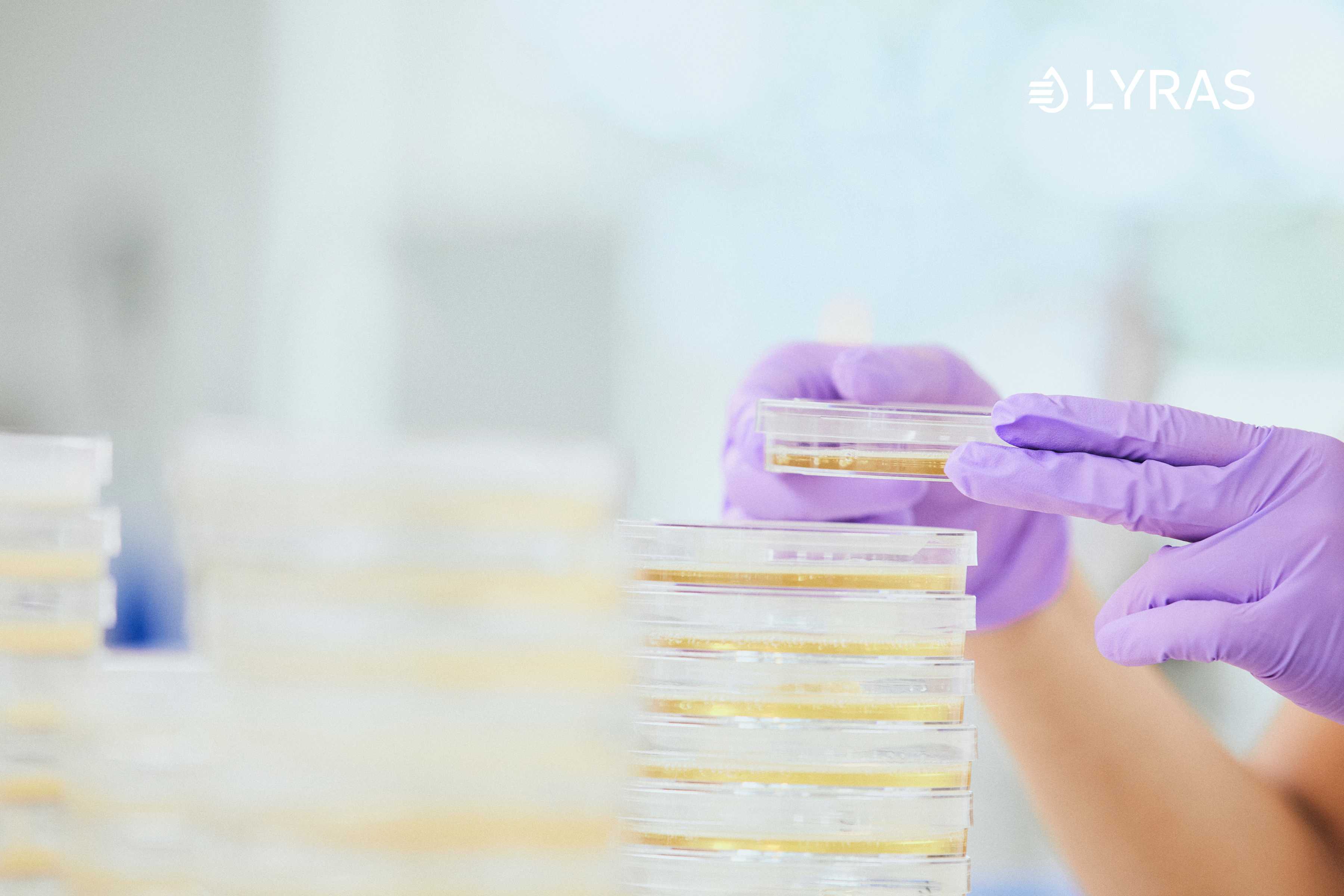 Raslysation™ in the research: Lyras featured in new dairy study