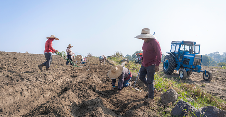 Widespread confusion among US consumers around food insecurity