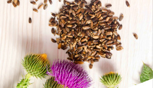 Milk Thistle Seeds Extract