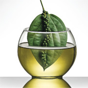 SUPERCRITICAL CO2 EXTRACTS