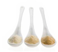 CARAMELISED MILK POWDER