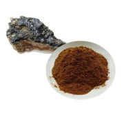 Shilajit Extract