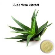 Organic Alovera  Powder