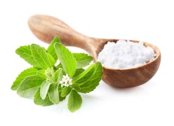 Stevia powder