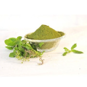 Tulsi Extract