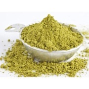 Gymnema Sylvestre Extract