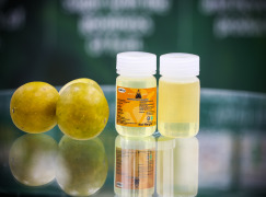 Concentrated Monk Fruit Infusion