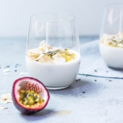 FERMENTED AND YOGURT POWDERS