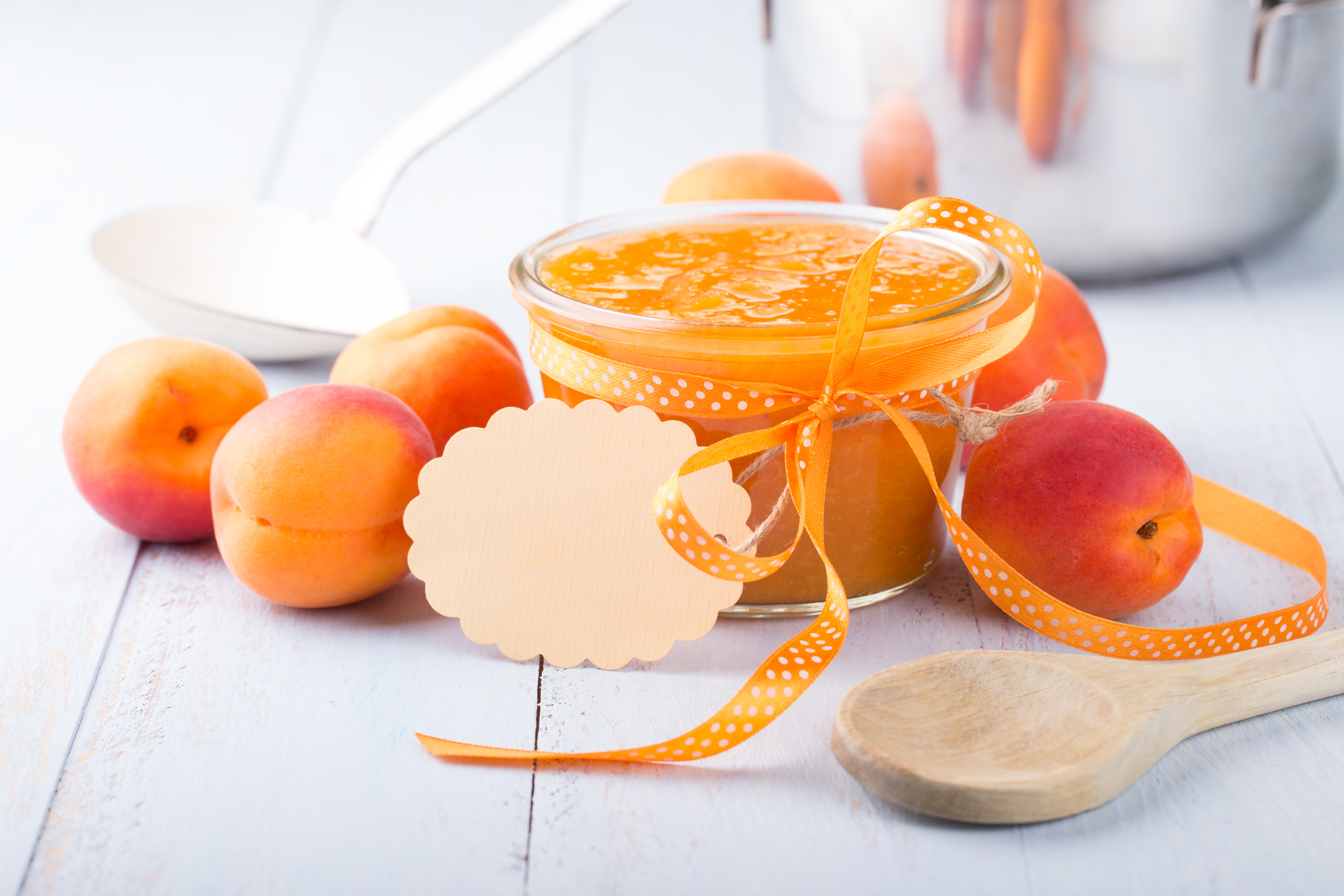 Stevia Extracts & Blends SanaSweet®