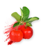 Acerola