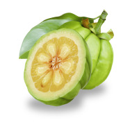 Garcinia Cambogia
