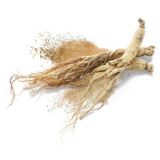 Ginseng Panax
