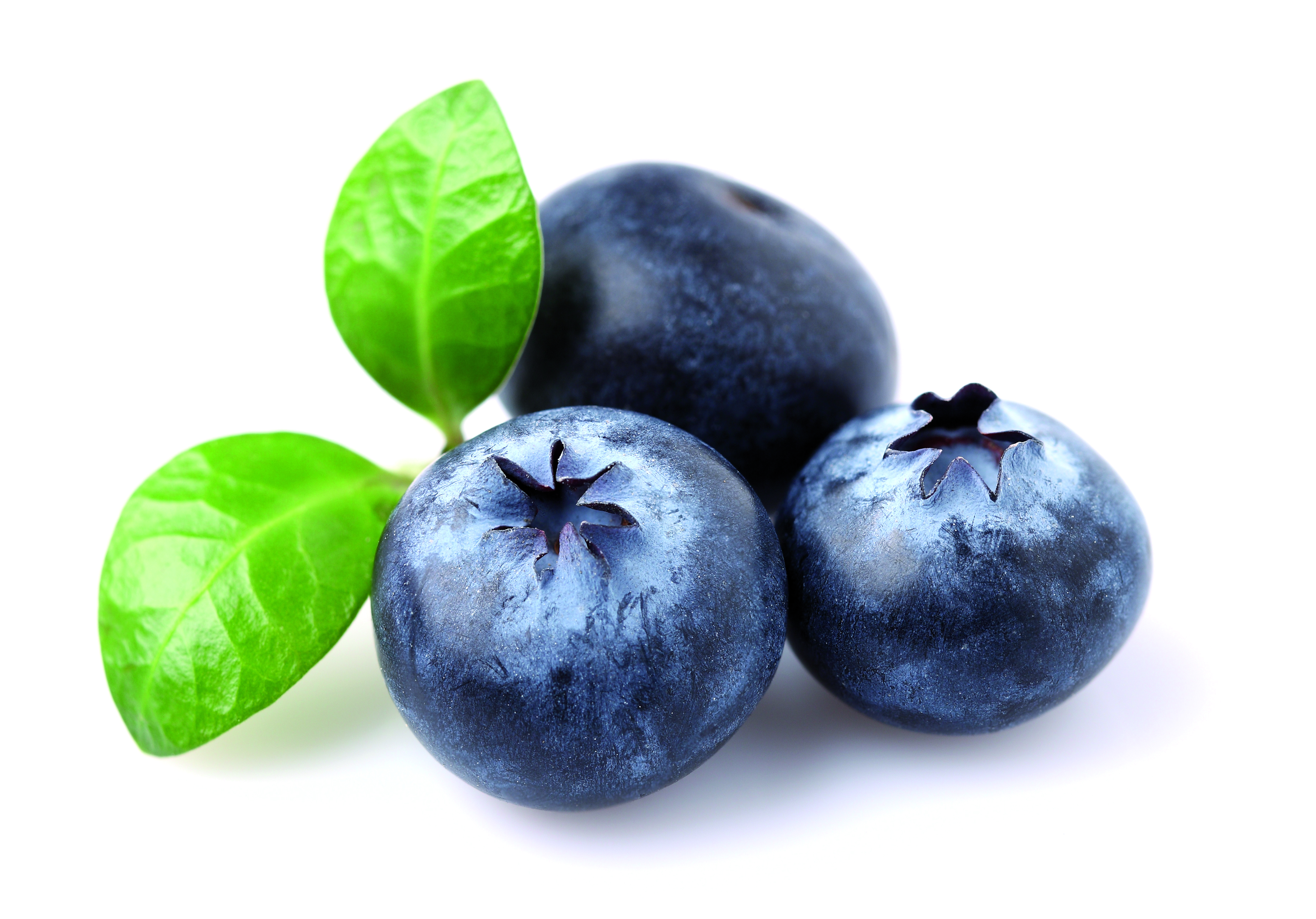 Bilberry