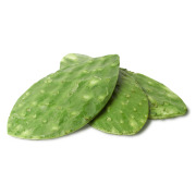 Nopal
