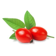Rose Hip