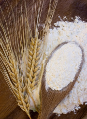 Wheat Starch
