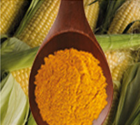 Corn Gluten Meal