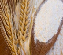 Hydrolyzed Wheat Protein
