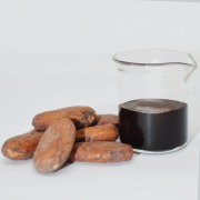 Cocoa Extract