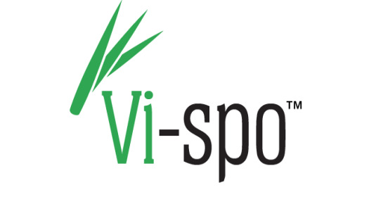 Vi-spo™ Saw Palmetto extract