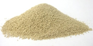 Dried Yeast