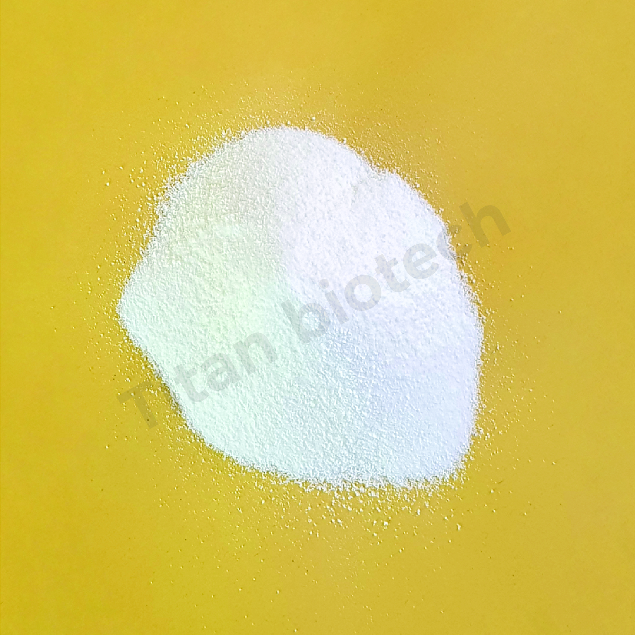 Chicken Protein Isolate