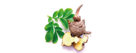 Konjac glucomannan