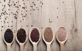 GreenField dried seeds