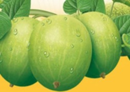 Monk Fruit_Natural Alternative to Sugar