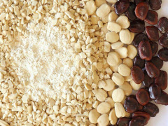 TAMARIND SEED POLYSACCHARIDE