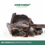 PROPOLIS - Extract liquid & Powder