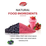 NATURAL FOOD INGREDIENTS