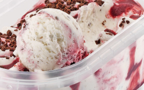 Palsgaard® ExtruIce 351