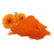 Marigold Flower Extract